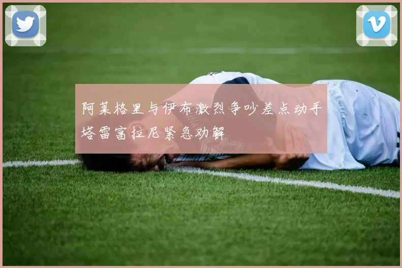 阿莱格里与伊布激烈争吵差点动手塔雷富拉尼紧急劝解